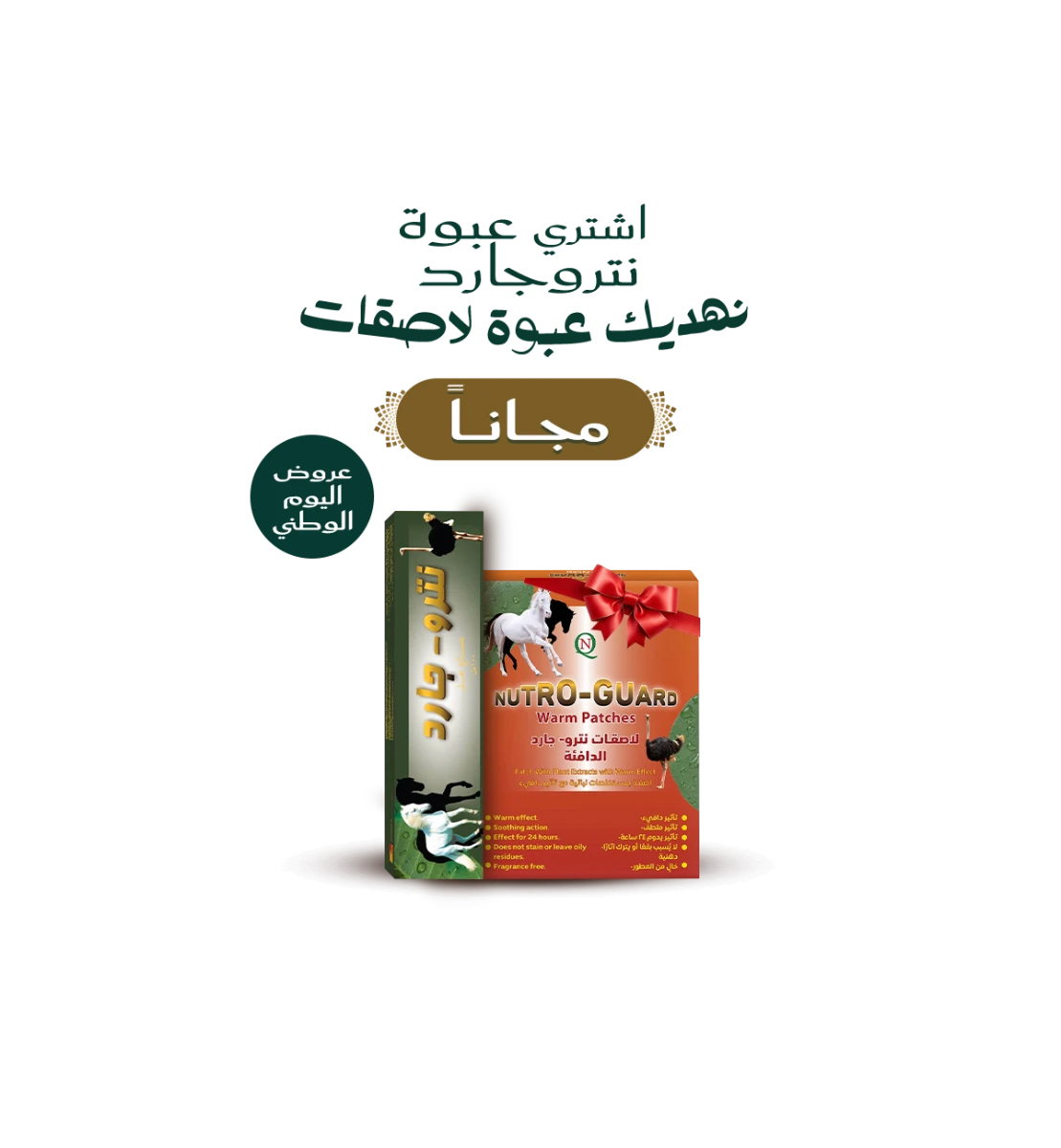 باقة نتروجارد جل + لصقات نتروجارد الدافئة لتخفيف آلام العضلات والمفاصل | Nutroguard Gel + Nitro-Guardwarm