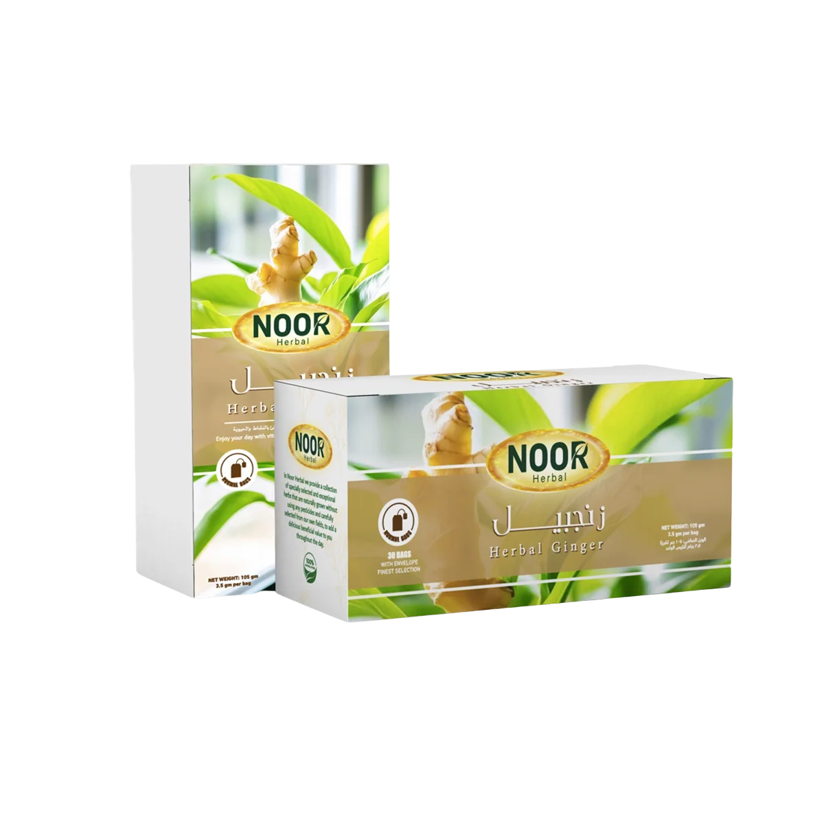 الزنجبيل - Ginger Herbal